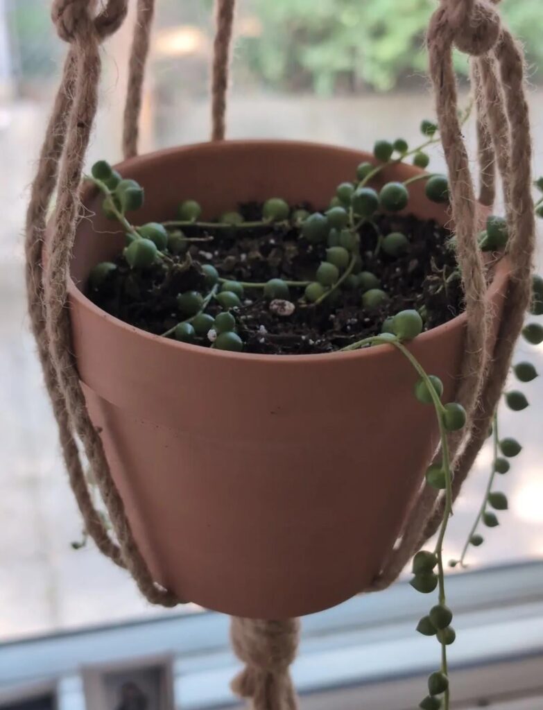 September vs today !