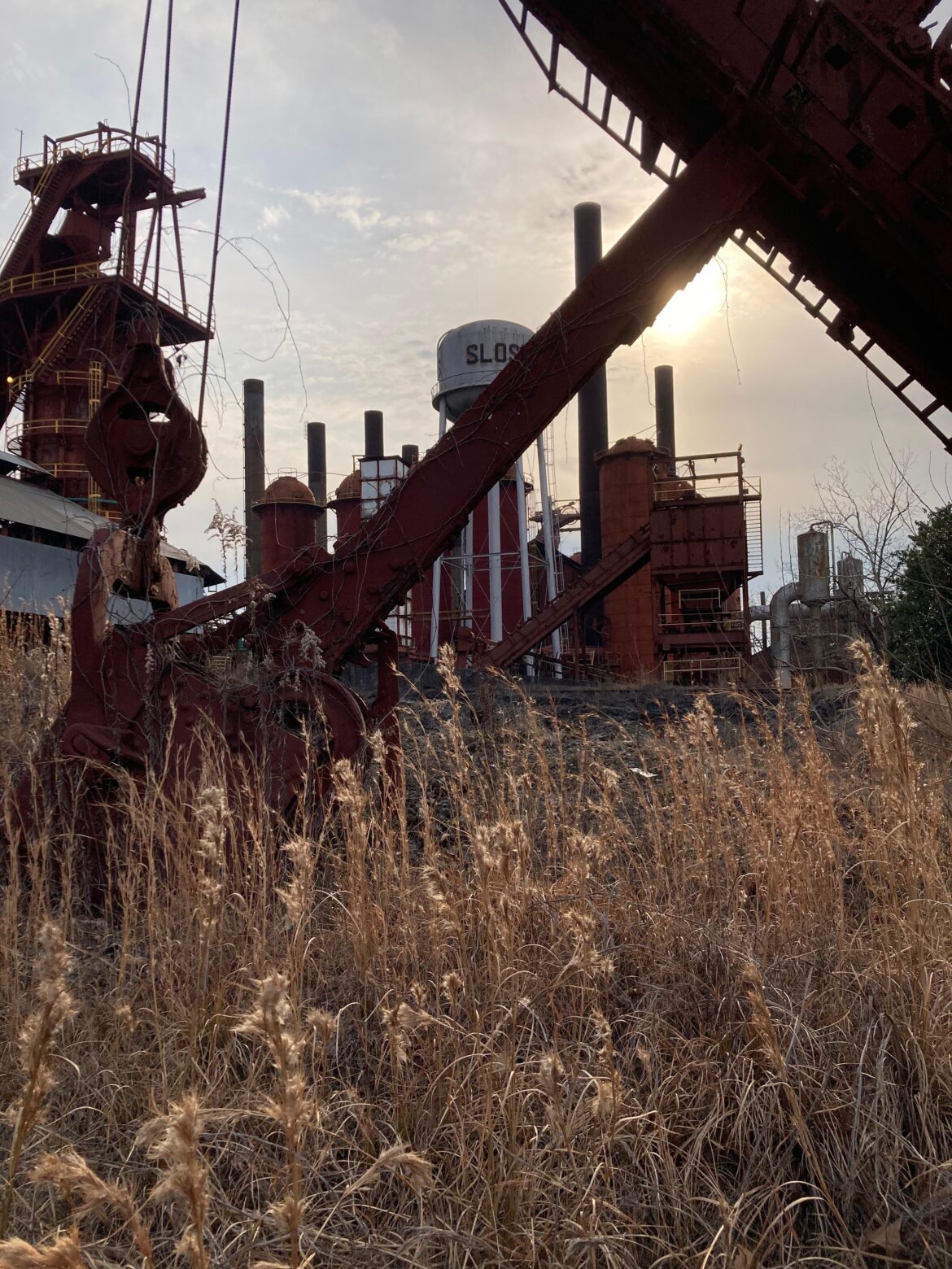 Winter Bluestems and Solidagos near abandoned iron furnace (Alabama) Winter Bluestems and Solidagos near abandoned iron furnace (Alabama)