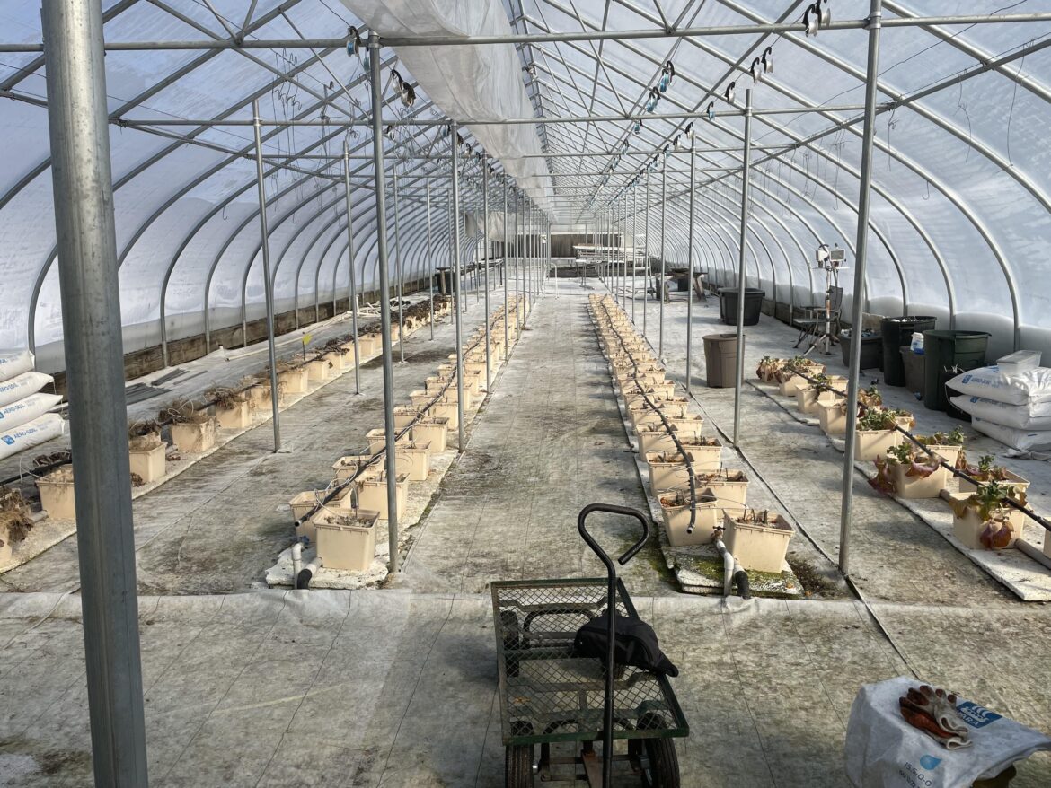 It’s all fun and games until you have to disassemble and clean a large system