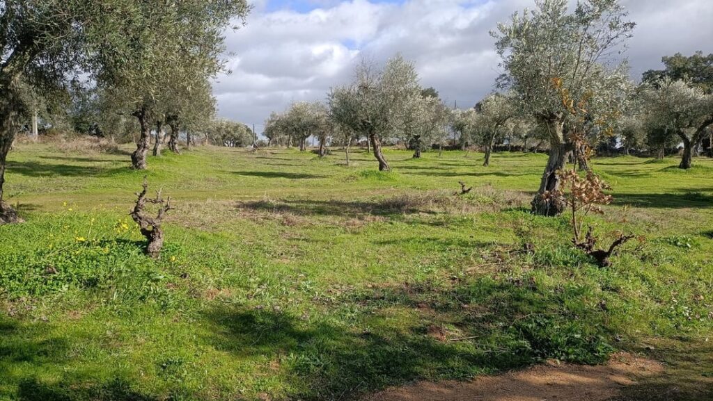 Last week in central Portugal