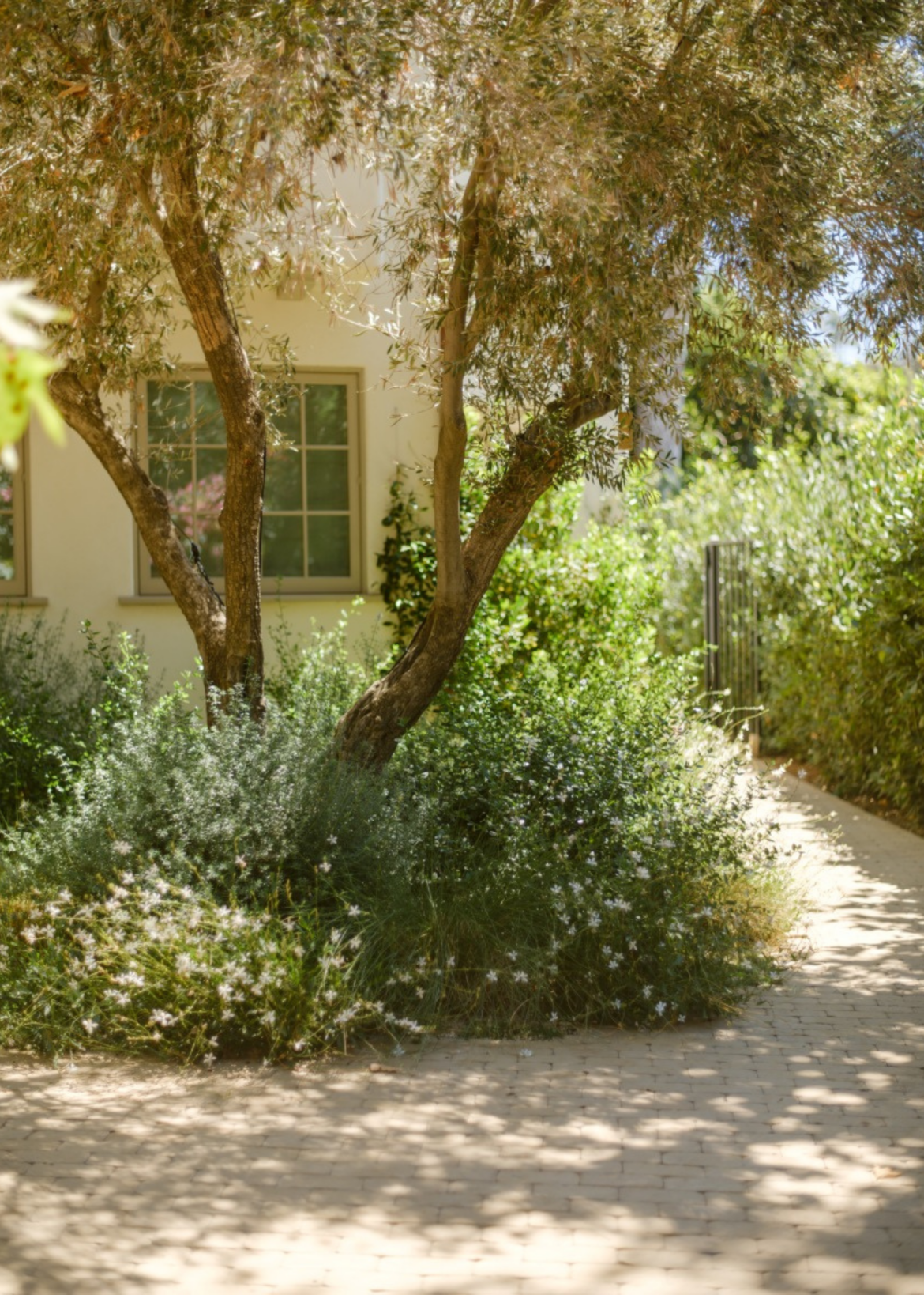8 Garden Trends Experts Say Will Be Taking Over in 2026
