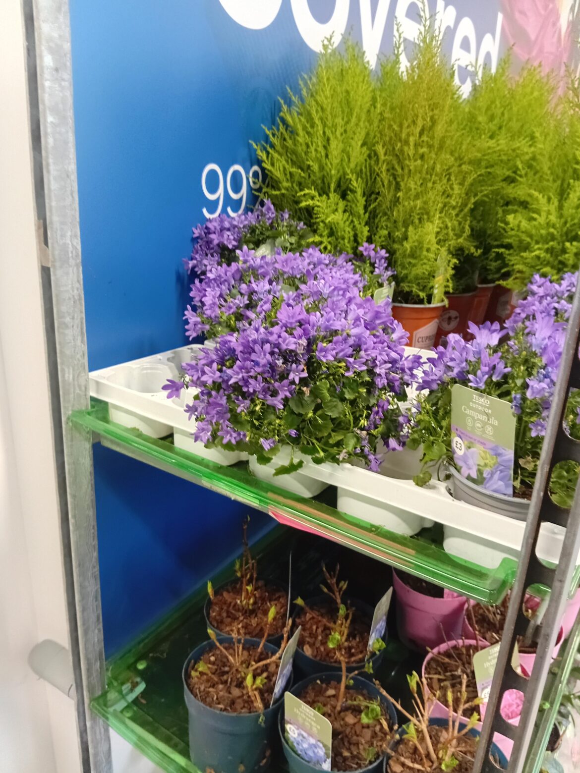 "Last plant I swear" came flying out of my mouth