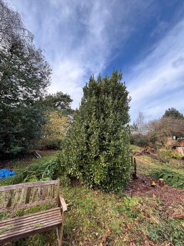 What should I do with this?