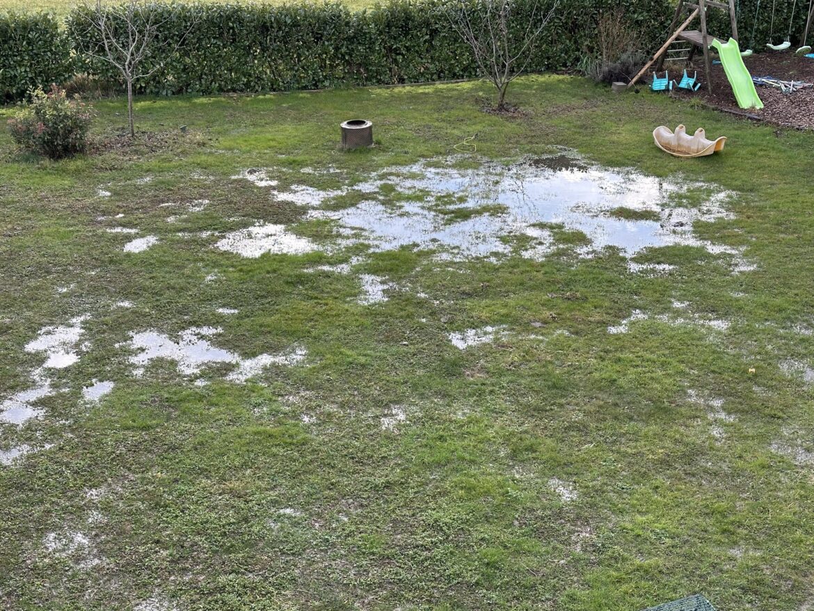 Ideas to redirect wet lawn for water storage?