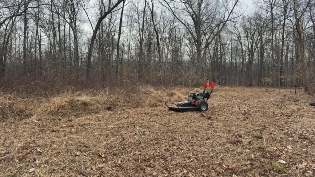 No longer on the fence No longer on the fence