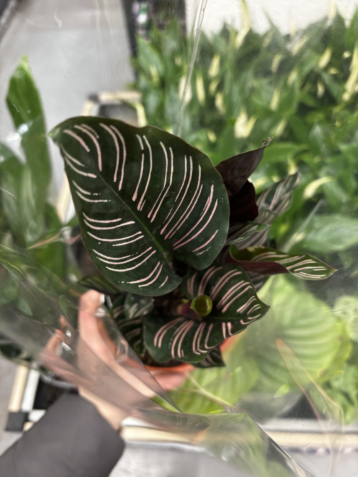 Saw this today and cant stop thinking about it