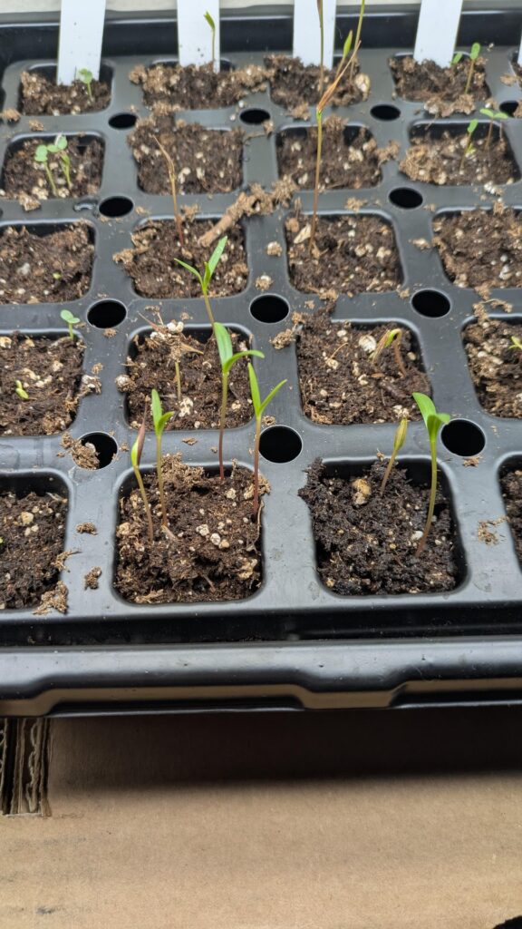 Should I be thinking this already?