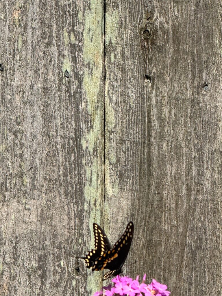 Ready to be back to this