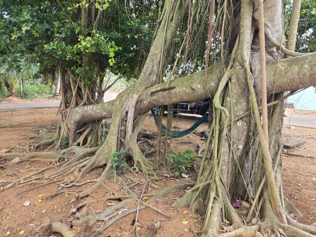 What's going on here?