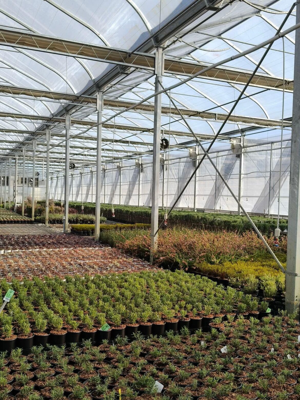 A lasting greenhouse also needs to be taken care of well