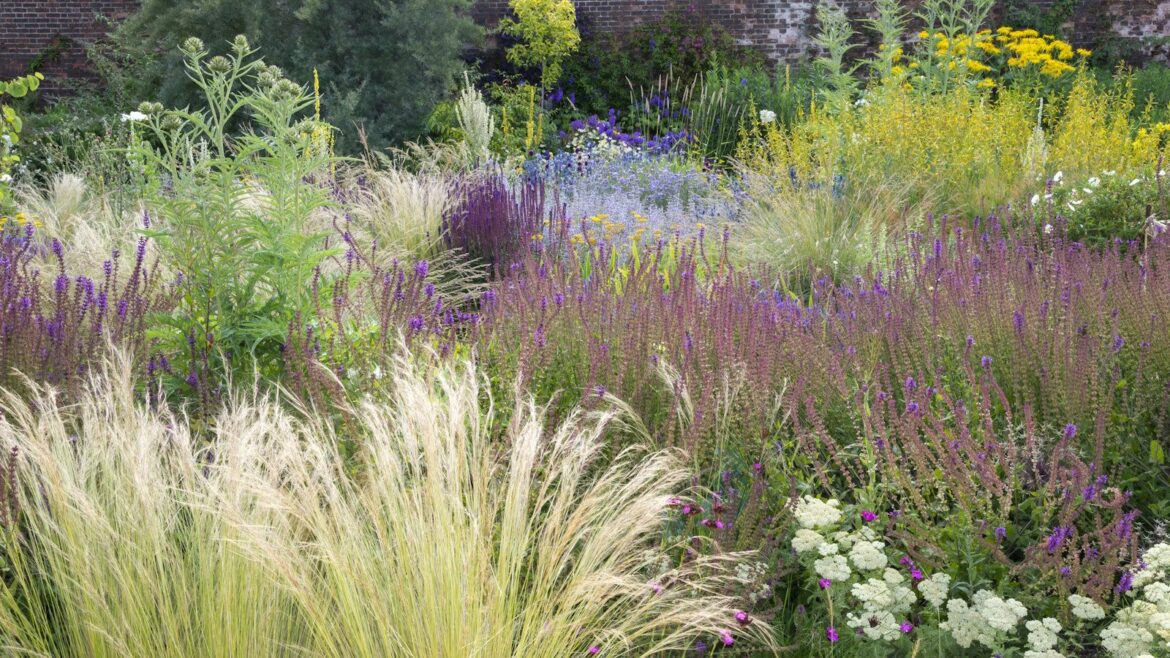 8 Best Plants For A Walled Garden, Whatever the Size of Your Space A mass of perennial plants in a garden