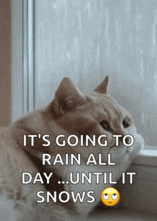 rain-dreary.gif rain-dreary.gif