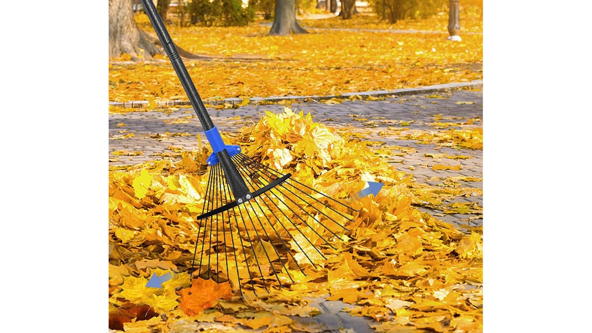 Grab an expandable metal rake for quicker pickup.