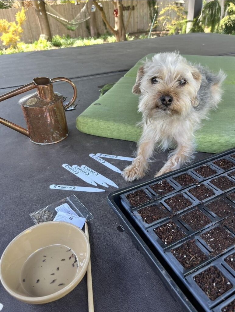 Plant markers?