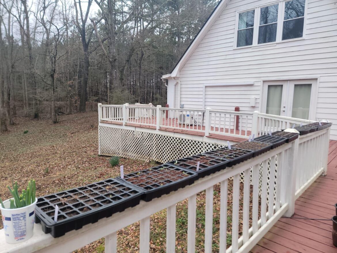 Introducing my babies to the world! Introducing my babies to the world!