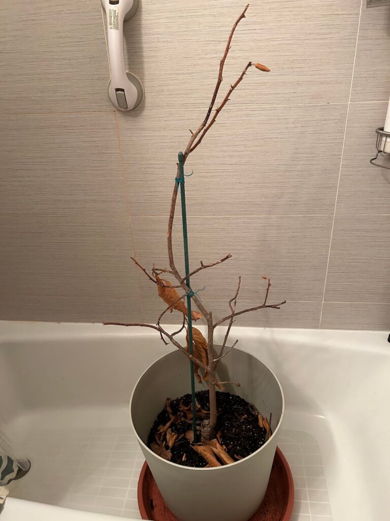 How can I save this?