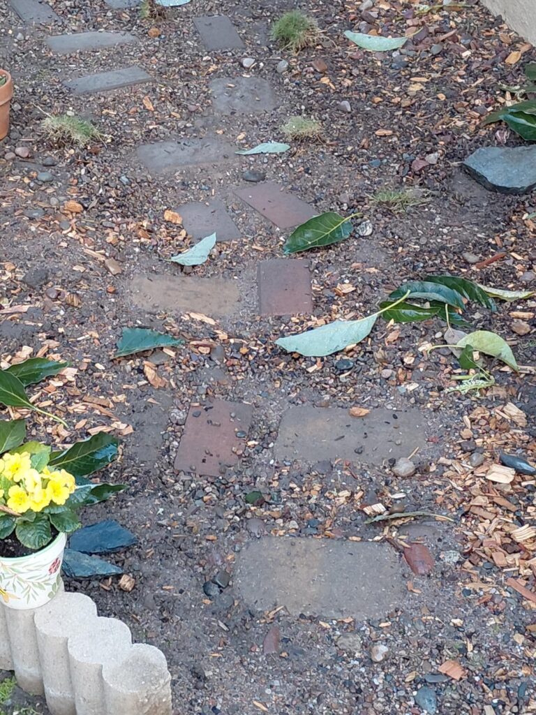 Water Spout Angry Water Spout Angry