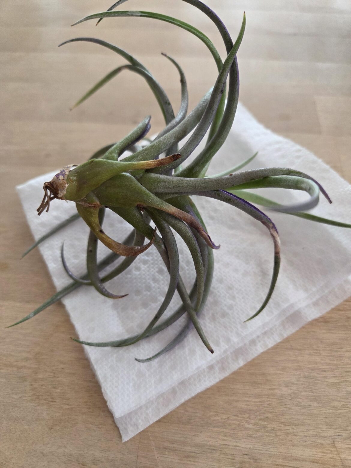 What is causing this?