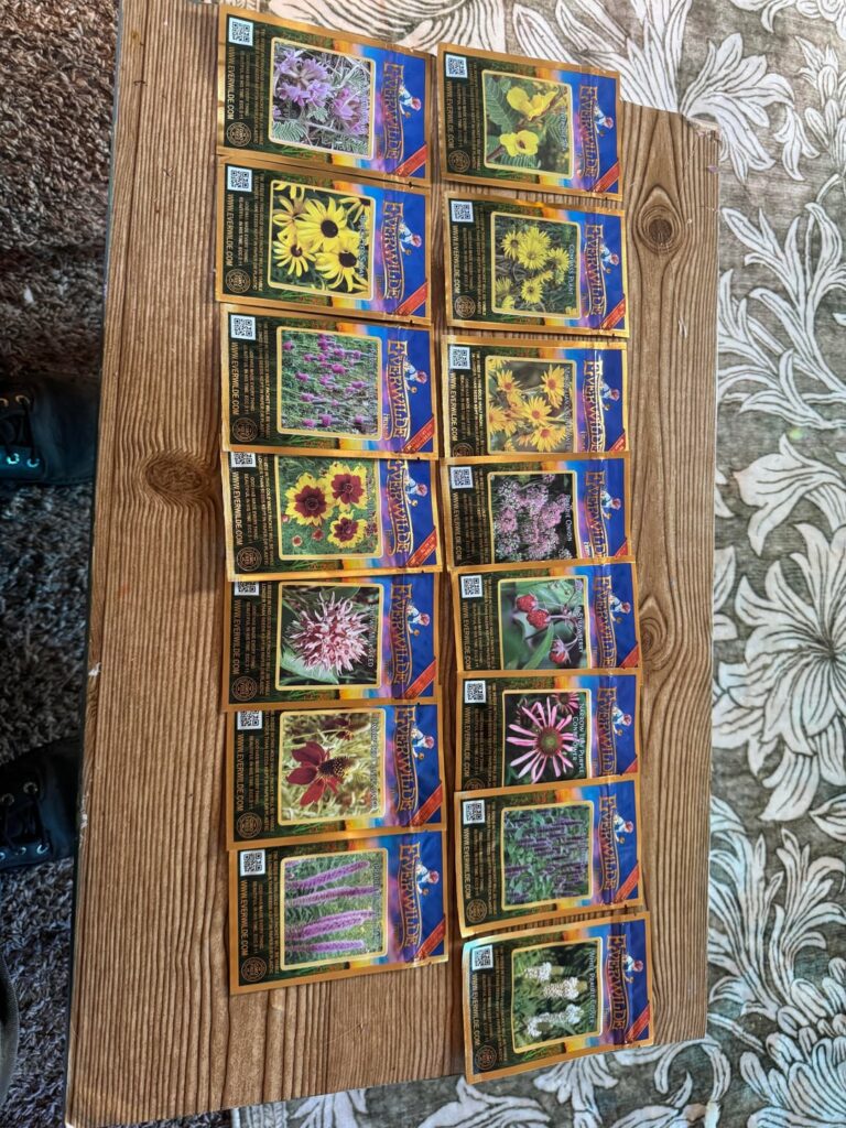 Seeds came. Any advice?