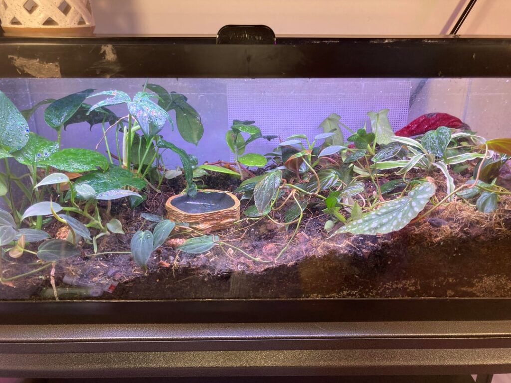 What would be happy in here?