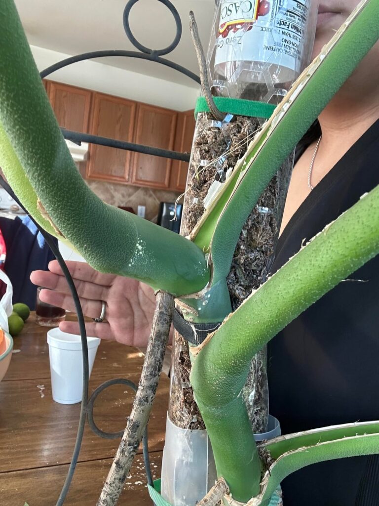 Anyway to correct this?