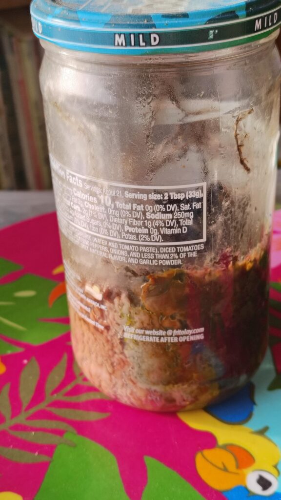 5 Year Old Fungus Jar