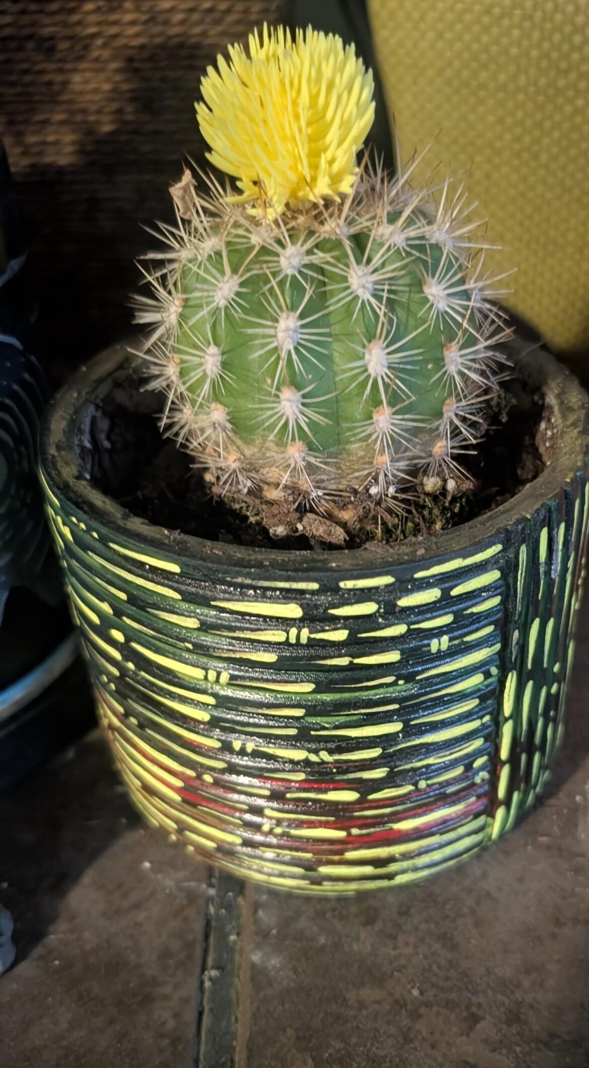 Rate my self painted pot and cactus.