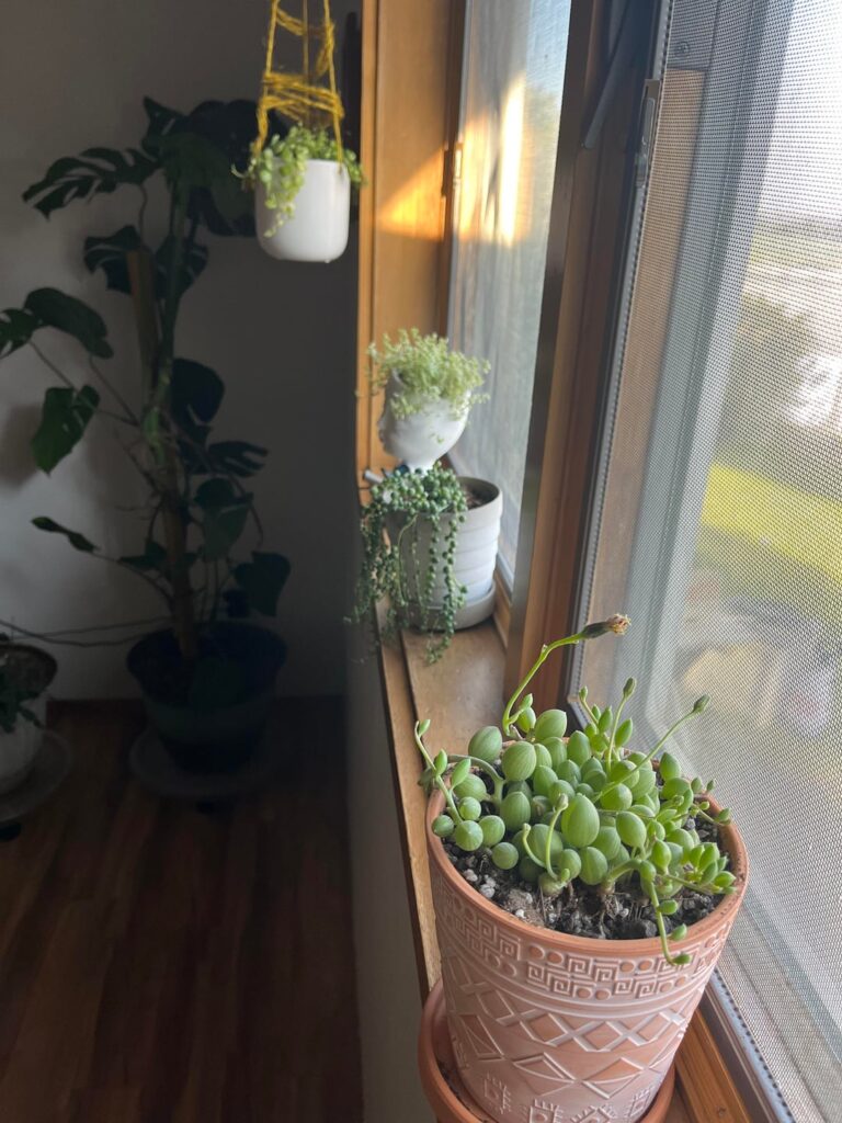 I so love watching her grow!