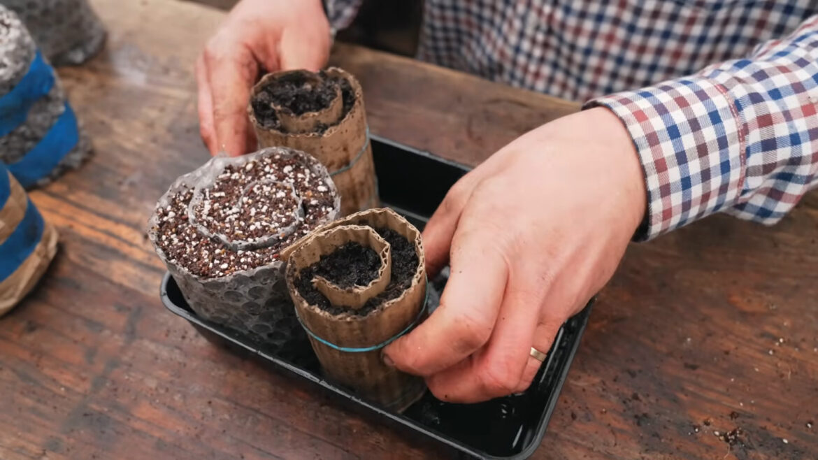 The Only Snail You Want In Your Garden Is A Seed-Starting Hack The Only Snail You Want In Your Garden Is A Seed-Starting Hack