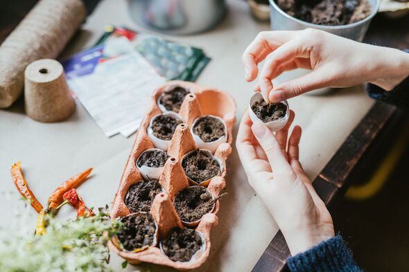 Close up of hands sowing seeds
