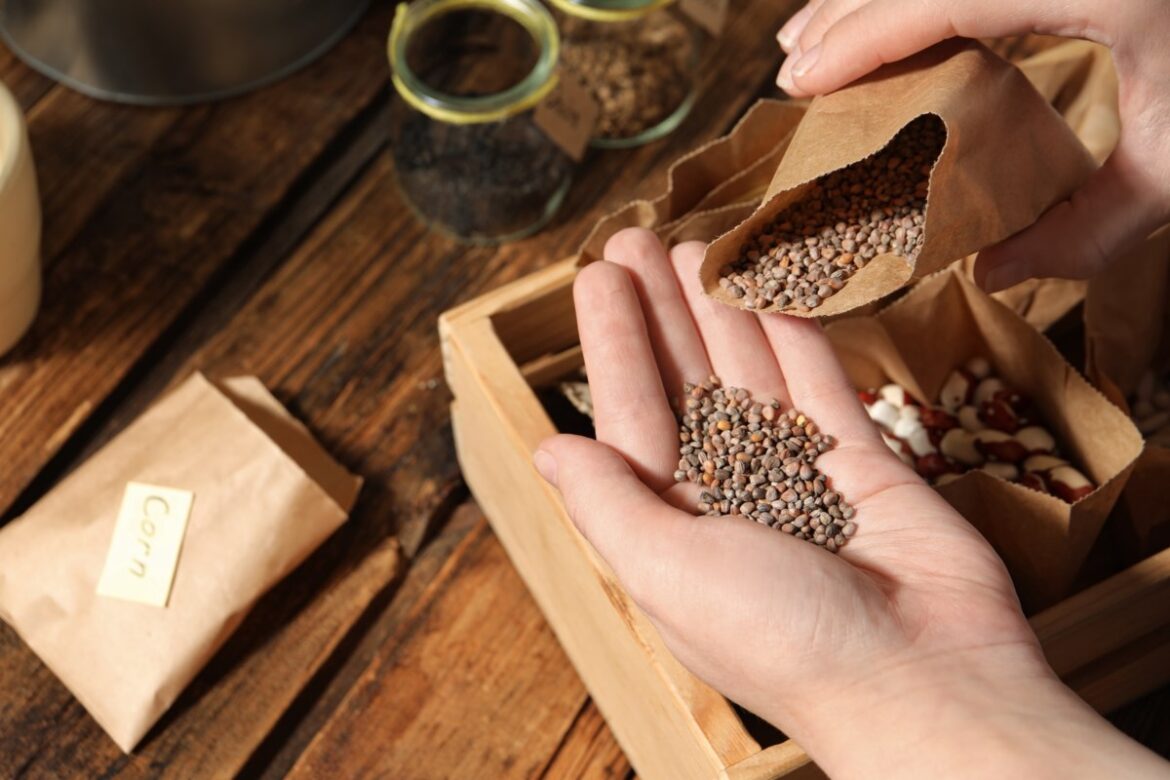 Seedy Saturday returns with focus on sustainable gardening