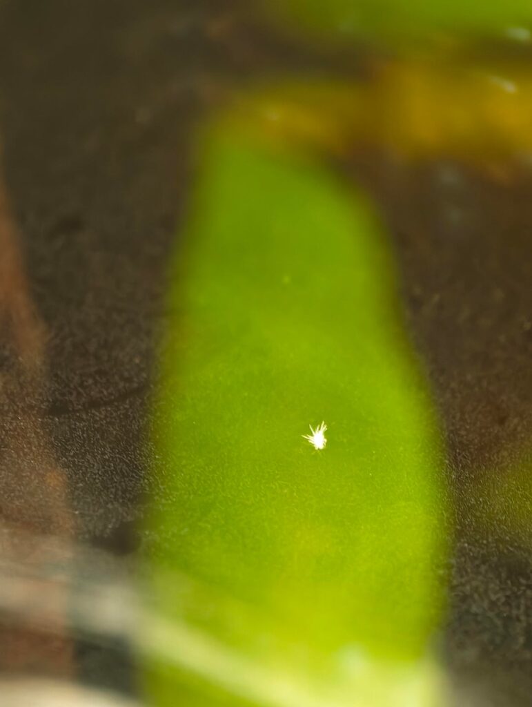 Could someone help ID this?