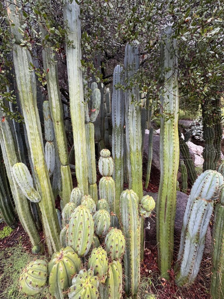 Enjoy your Tuesday…