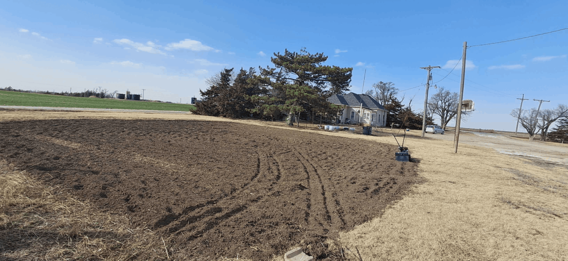 Looking for planting advice.