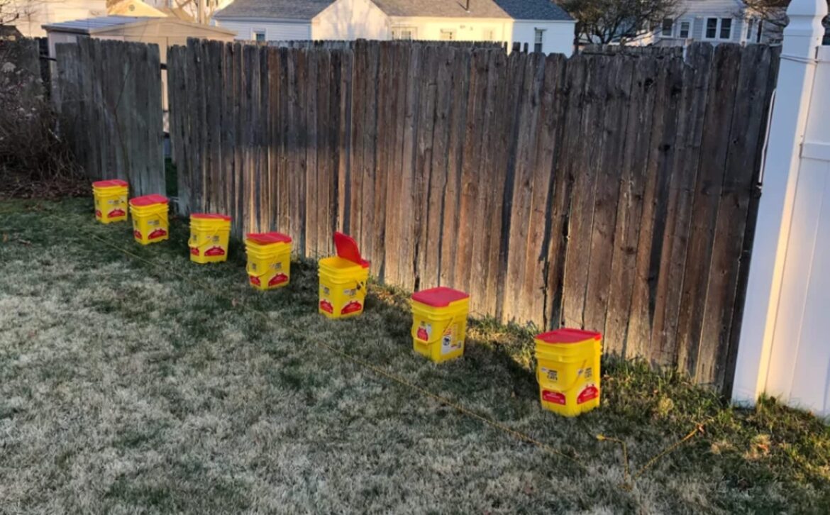 One Redditor shared their side flower garden's progress over three years.