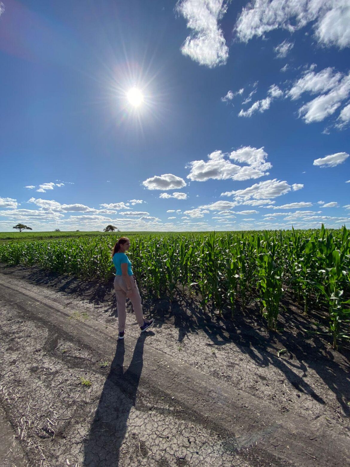 Sunflowers 🌻 in the background 🤩🤩