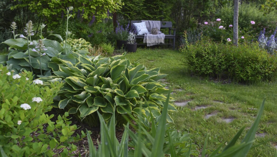 One Redditor experienced such a moment, waking up to a friendly visitor in their backyard, and posted in the r/foxes subreddit.