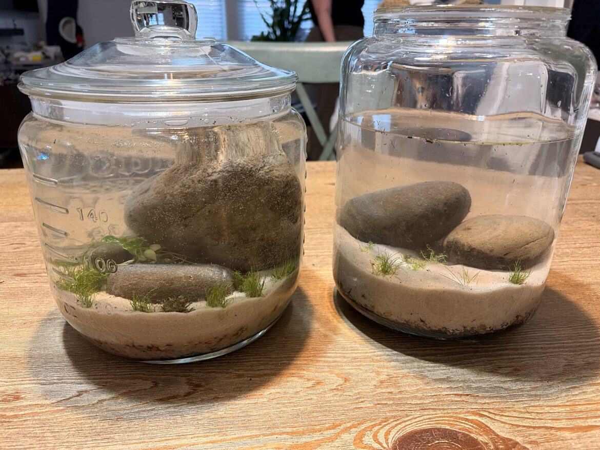 Two jar tanks