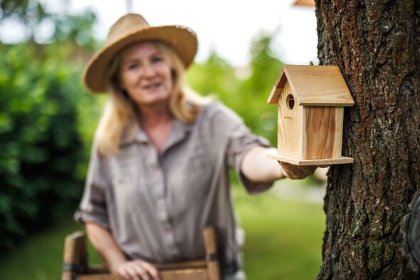 Smiling woman hanging birdhouse on tree trunk in garden Smiling woman hanging birdhouse on tree trunk in garden