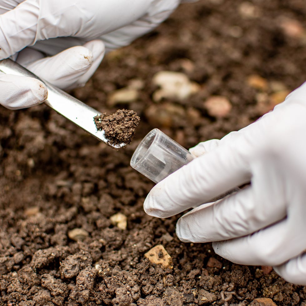 Researcher collecting soil sample in a test tube researcher collecting soil sample in a test tube