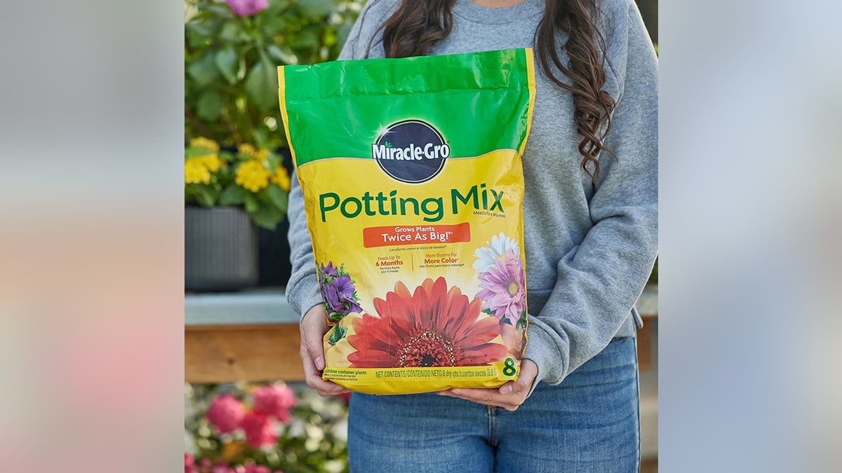 Choose potting or in-ground soil depending on how you plant.