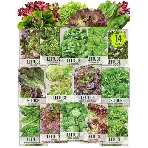 Lettuce Seeds Mixed Collection