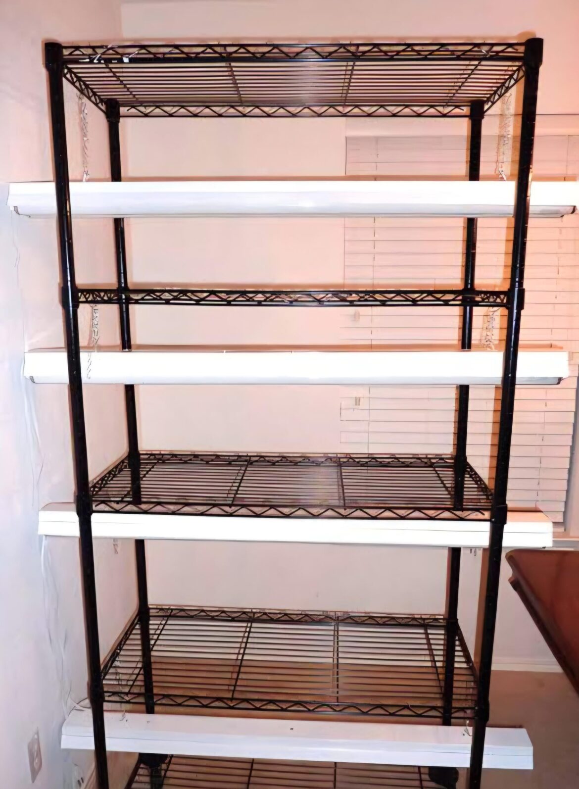 Seed Starting - Ambient Temps