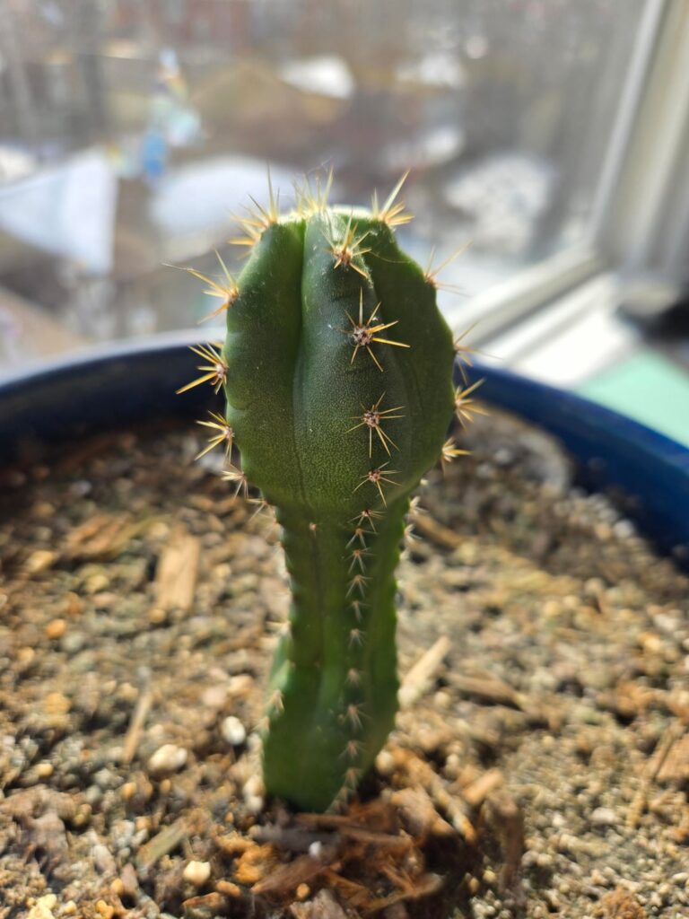 Please help clear up confusion Please help clear up confusion