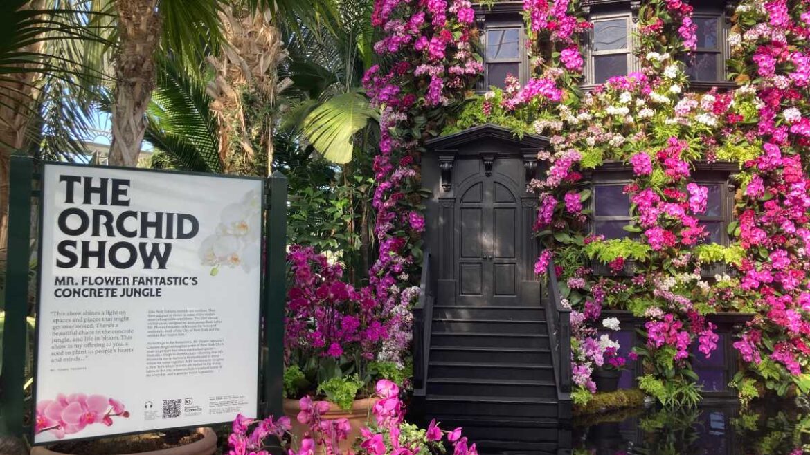 New York Botanical Garden’s Orchid Show returns with a love letter to New York City – Bronx Times New York Botanical Garden’s Orchid Show returns with a love letter to New York City – Bronx Times