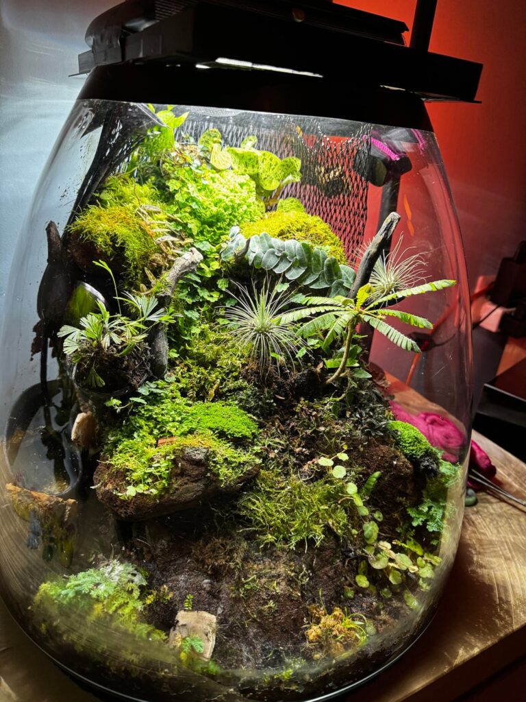 Slowly getting more beautiful