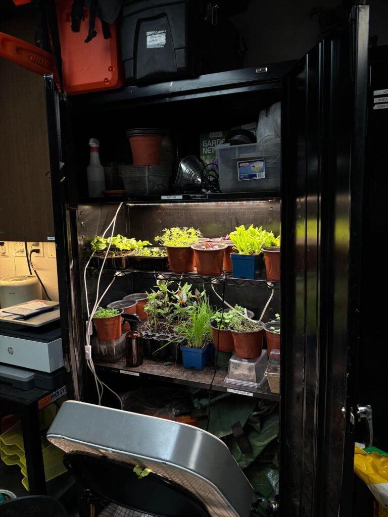 My makeshift cabinet greenhouse with cheap grow lights and a box fan