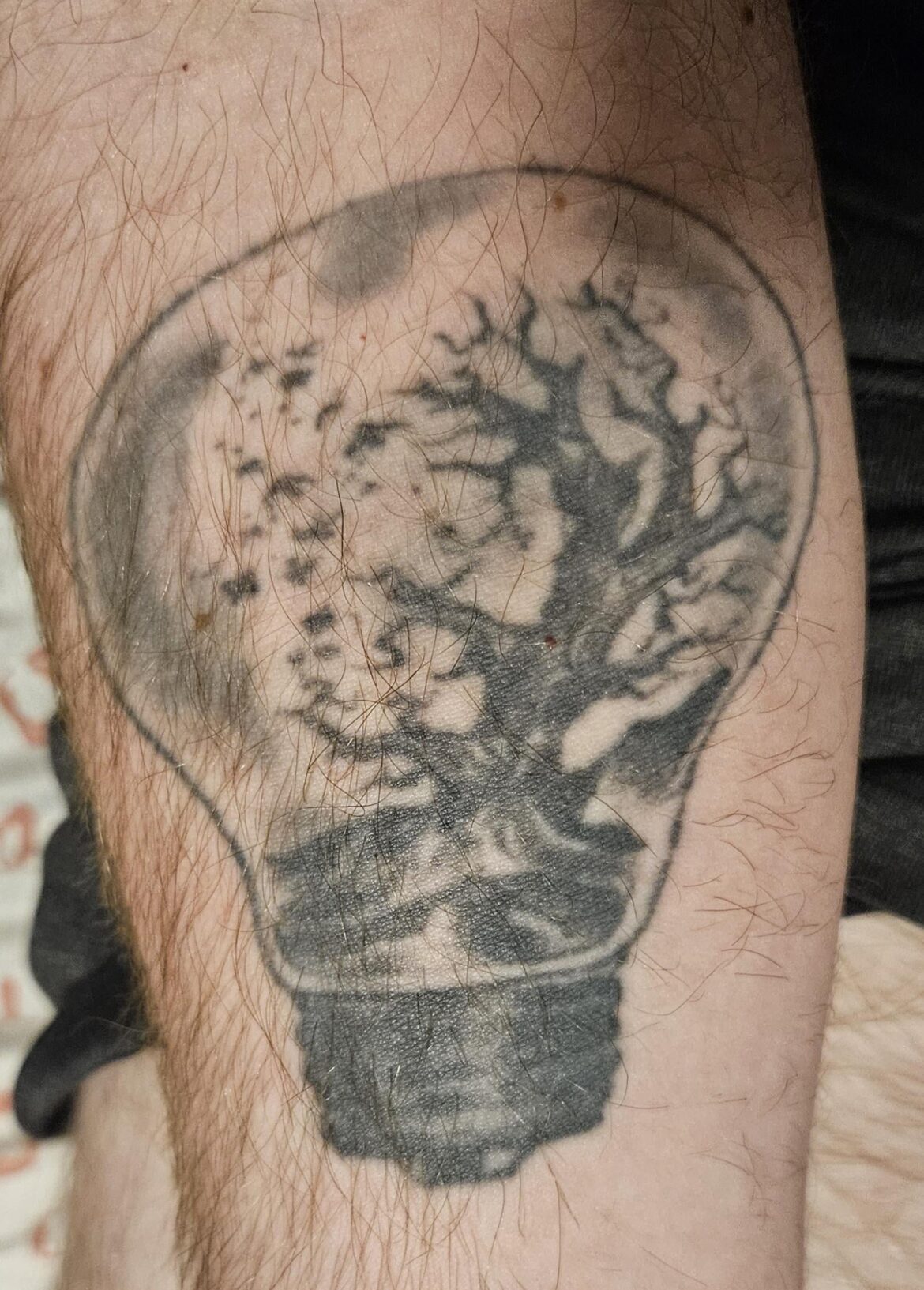 Who's got terrarium tattoos?