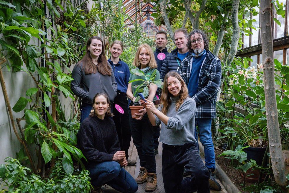 Talking Plants Cambridge University Botanic Garden