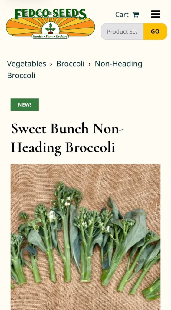 Sweet Bunch Non-Heading Broccoli